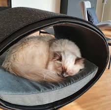 It could possibly get yourself a very little trickier. Credentials Of Happy Customers Of Pet Interiors