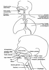 language multiple languages pronunciation international