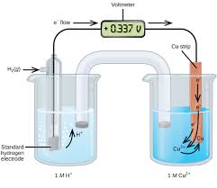 17 3 Standard Reduction Potentials Chemistry