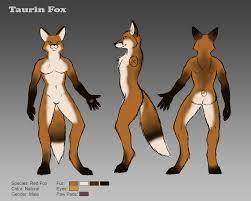 Taurin fursuit reference by taurinfox -- Fur Affinity [dot] net
