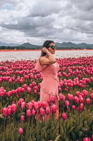 Näytä lisää sivusta little acre flowers facebookissa. The Most Instagrammable Flower Fields In The World Wandering Sunsets