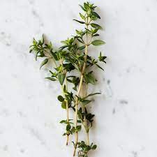 Pour arroser les rosiers, il vaut mieux leur donner une grande quantité d'eau à la fois de temps en temps que les arroser légèrement et fréquemment. Comment Prendre Soin Du Thym En Pot Arrosage Plantation