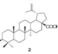 Synthesis and Biological Activity of 23-Hydroxybetulinic ...