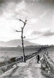  Potret Seorang Pria Di Jembatan Dengan Latar Belakang Pemandangan Sawah Dan Gunung Ungaran 1925 1935 Pemandangan Latar Belakang Gunung