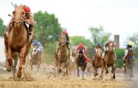 June 2022 Saddle Up! Magazine by Saddle Up! Magazine