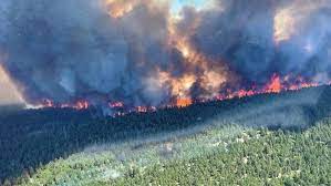 Must prepare for forest fires too. N5owf5shjba3vm