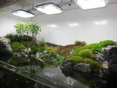 90g Cliffside Paludarium Build Thread Aquarium Landscape Aquascape Planted Aquarium
