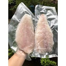 Ikan Fillet Beku