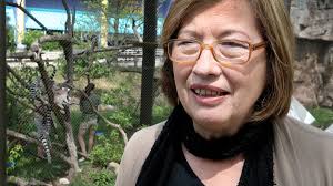 Cheat Sheet: Andrew Luck crashes wedding, Gold Swagger Day