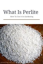 What Is Perlite Here Are Some Best Perlite Uses For Your Garden Growing Veggies Garden Soil Horticulture