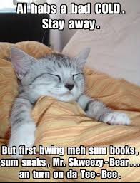 Things Everyone Goes Through While Sick Funny Animal Jokes Funny Cat Memes Funny Animal Quotes