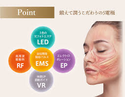 ZOGANKIN 造顔筋 小顔 ラジオ波 EMS