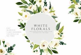Watercolor White Flower Clip Art White Flower Clip Flower Clipart Clip Art
