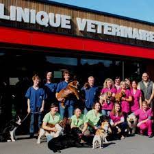 Clinique vétérinaire la roseraie zone artisanale clos aux antes tourville la riviere 76410 fax: Les 10 Meilleurs Veterinaires A Tourville La Riviere Seine Maritime