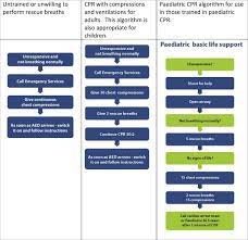 Begleitskriptum zu den praktischen übungen in bls. European Resuscitation Council Guidelines For Resuscitation 2017 Update Resuscitation