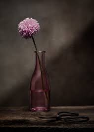 Flowers in a glass vase photography. Single Flower Www Michaelschnabl Com Single Flower Flowers Photography Painting