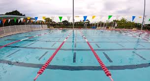5 Piscines Pour Faire Des Longueurs A Miami French Morning Us