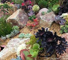 Succulents Work Well Planted On A Hillside Slope This Allows For The Water To Runoff Landscaping With Rocks Succulent Landscaping Succulent Landscape Design
