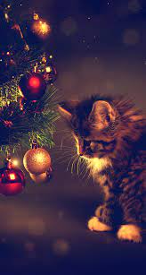 Background Kitten Wallpaper Christmas Cats Kittens Cutest