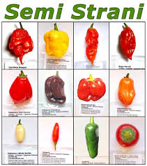 120 Seeds Hot Chili Peppers Classic Collection Carolina Reaper Moruga Ghost Stuffed Peppers Hot Sauce Recipes Herbalife Shake Recipes