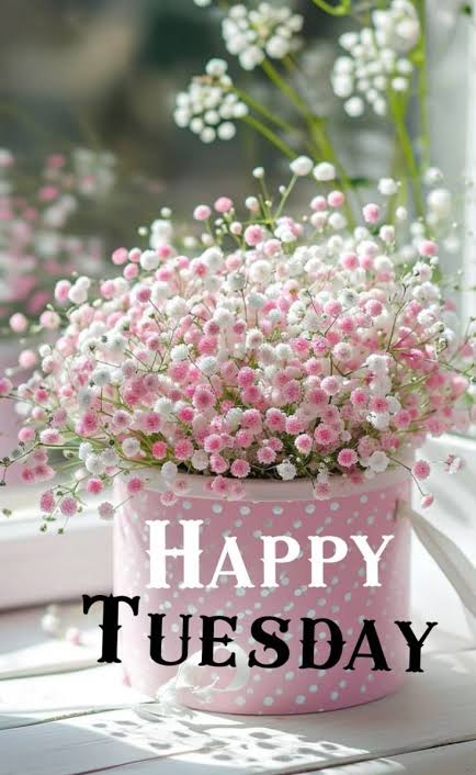 Happy Tuesday Quotes | Happy tuesday with flowers, Tuesday ...