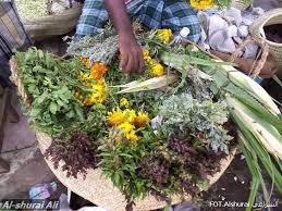 أعشاب عطرية تنمو في أعالي الجبال في اليمن أقحوان و كاذي والشذاب والريحان والشقر الأبيض و Autumn Magic Flowers Plants