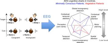 Multidimensional Cognitive Evaluation Of Patients With