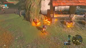 When reporting a problem, please be as specific as possible in providing details such as what conditions the problem occurred under and what kind of effects it had. Botw Accidentally Set This Poor Villager On Fire Zelda