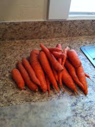 Check spelling or type a new query. Blanching Freezing Carrots Meagan Makes