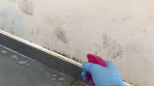 Les mains protégées par des gants de ménage, la bouche et le nez par un masque et les yeux par des lunettes, frottez le mur à la brosse métallique. Moisissure Sur Les Murs Les Causes Et Comment L Enlever