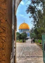 أحب نفسي ياقدس حين أراقبك من بعيد أبتسم حين أسمع عليك انك بخير وأحزن عليك حين اراك تأن من دنس بني صهيون القدس عربية اسل palestine history pictures palestine