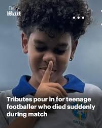 He suffered a devastating stroke while playing. RIP Enzo. Read more:  https://trib.al/JEVXcjX