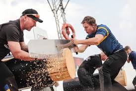 Ferry svan kapar träd med jättesåg i bingolotto. Ferrysvan Hashtag On Twitter