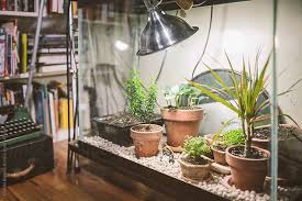 All hardware components needed to install the tray on a specific vehicle are included. Uses For Old Fish Tanks Shefalitayal