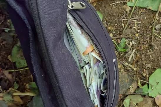 Dog finds bag full of thousands of pounds