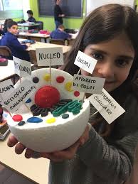 Olivia Morelli (oliviamorelli25)