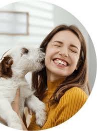 Canine Fitness Programs