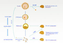 Free online coupons and promotional codes for hundreds of stores like sears, zappos, home depot, kohls, macys, staples, kmart, amazon, dell and more. Download Milestones In European Housing Finance 2016