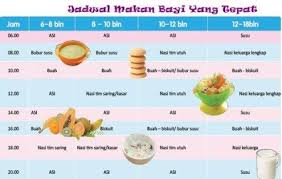 Perlu diingat bahwa pemberian bubur bayi yang homemade sangat disarankan daripada memberikan bubur bayi dari makanan kemasan buatan pabrik. Faizah Amin Haziafboi Profile Pinterest