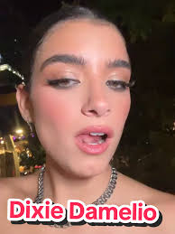 Dixie Damelio Vsco Account