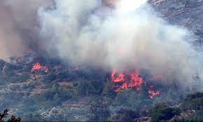 Σε εξέλιξη βρίσκεται από τις 03.30 τα ξημερώματα μεγάλη φωτιά στη νότια χίο. Fwtia Xios To Nhsi Metraei Tis Plhges Toy Staxth Eginan Ta Mastixodentra Newsbomb Eidhseis News