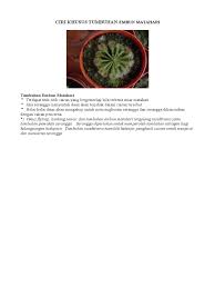 Meskipun menanam bunga matahari tidak banyak persyaratan, bunga matahari tumbuh subur di tanah yang agak asam hingga. 55 Gambar Bunga Embun Matahari Terlengkap Eye Cathingent