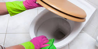 Wie du das klo mit hausmitteln putzt und was du gegen kalk und urinstein machen kannst. Toilette Entkalken Leicht Gemacht Wirksame Mittel Zur Toiletten Entkalkung