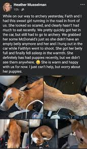 There is a light colored husky roaming around in the intersection of South  23rd and South E st. I only drove by so I did not get any more information.