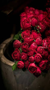 Beautiful wallpapers hd background download. 100 Hq Red Rose Wallpaper Images Best Collection 121 Quotes