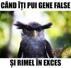1,007 likes · 9 talking about this. Glume Amuzante Glume Haioase Imagini Imagini Amuzante Imagini Amuzante Pentru Facebook Imagini Cu Glume Imagini Haio Owl Funny Animals Animal Photography