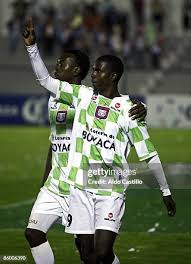 14 Marco Chico Stock Photos, High-Res Pictures, and Images