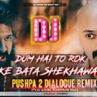 Download Lagu Dam Hai To Rok Ke Bata Shekhawat Dj Mp3 Gratis Terlengkap!!