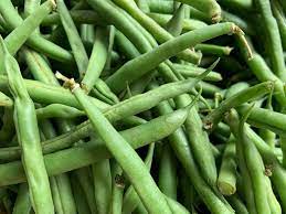Is It Safe To Eat Raw Green Beans Imbs Inc