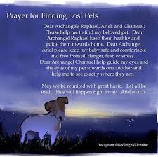 An important theological underpinning is that these saints are intercessors. Prayer For Lost Pets Pet Quotes Dog Losing A Pet Dog Quotes